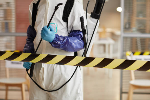 Professional Sewage Cleanup technician working in Benicia, CA